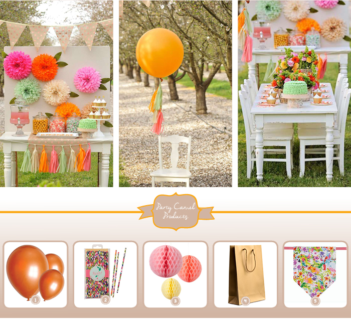 Party Supplies Dubai Party Camel